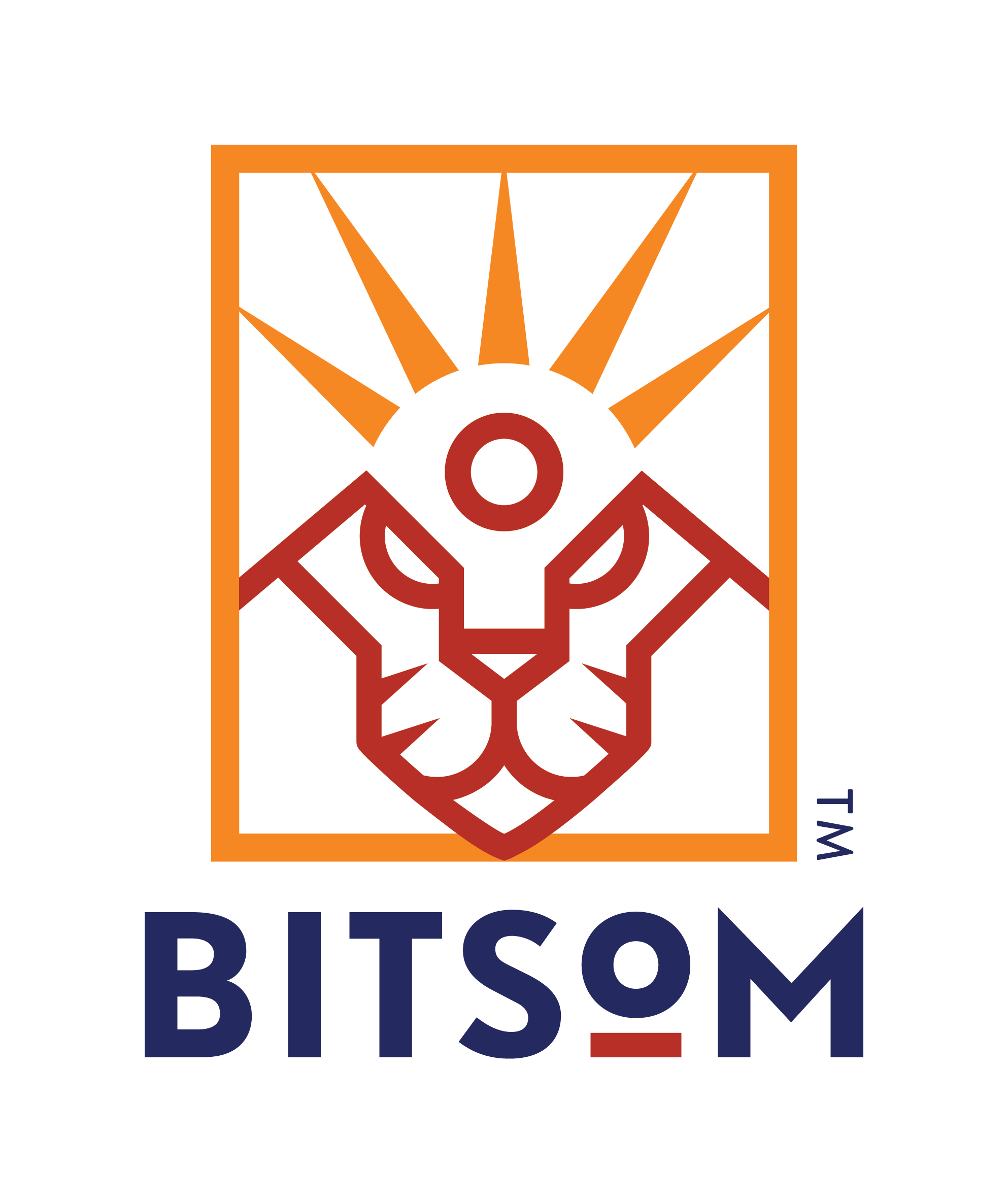 Bitsom